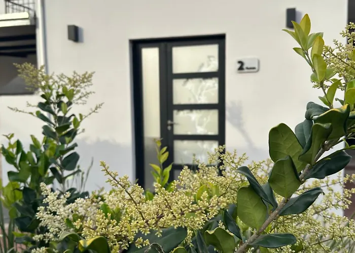 Hanakotoba El Lenguaje De Las Flores