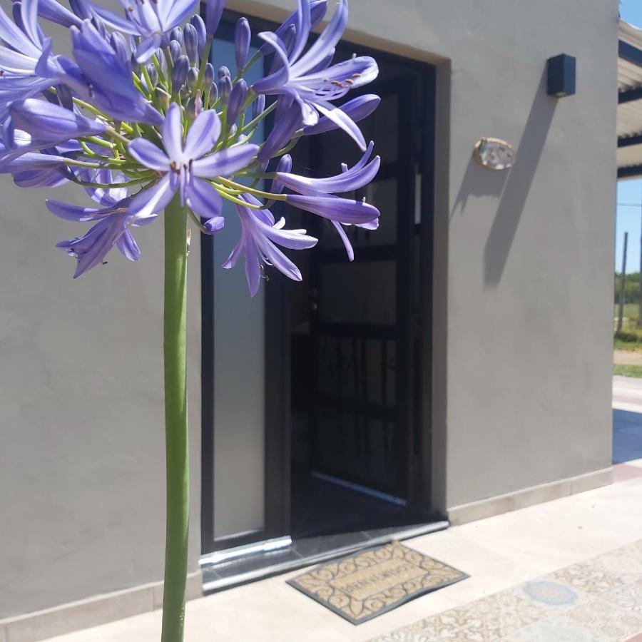 Hanakotoba El Lenguaje De Flores * Chajari